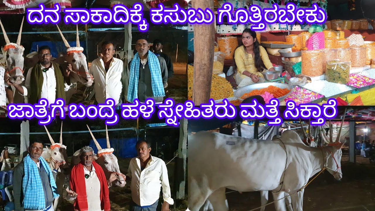 ದನ ಸಾಕೋದಕ್ಕೆ ಕಸುಬು ಗೊತ್ತಿರಬೇಕು ಎಲ್ಲರೂ ದನ ಕಟ್ಟಕ್ಕಾಗಲ್ಲ.  ಊರೂರಿನ ಹಳೆಯ ಸ್ನೇಹ ಎಲ್ಲ ಮತ್ತೆ ಸಿಗುತ್ತೆ