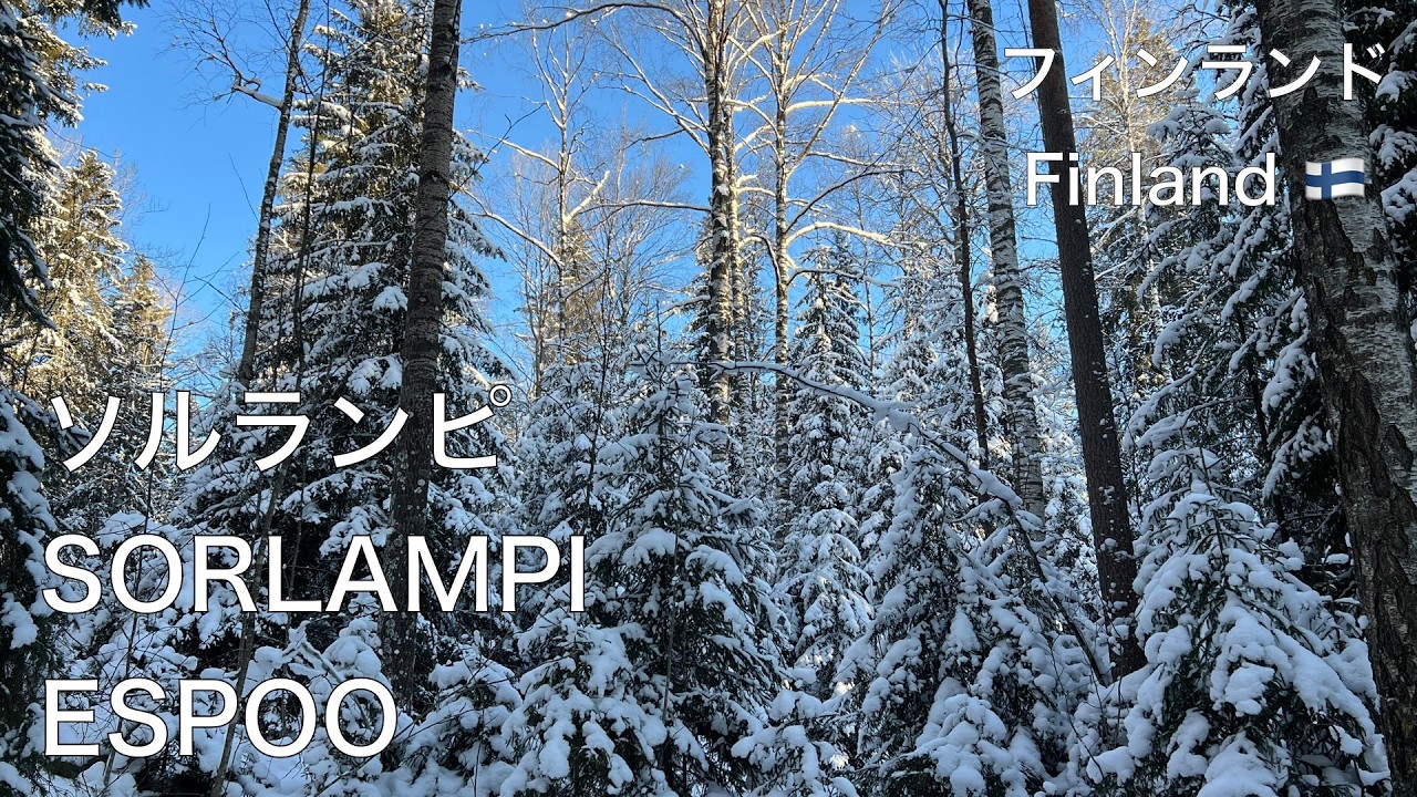 厳冬期に訪れたフィンランド南部エスポー市にあるソルランピ自然遊歩道(5km)で冬の厳しさが感じられる景色をお楽しみ下さい。Sorlammen kierros 5km Espoossa 8.2.2026