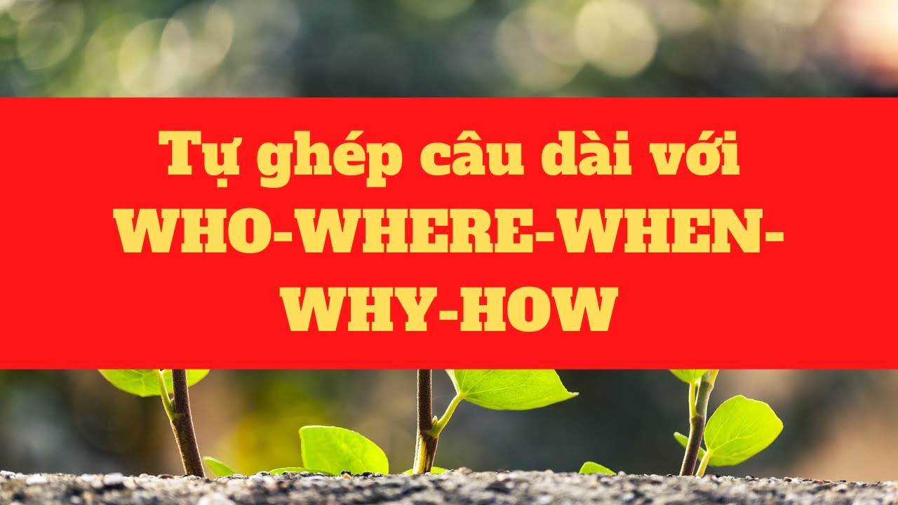 Phần 169: Ghép câu dài với What dễ rồi, còn where, when, why, who, how thì sao?