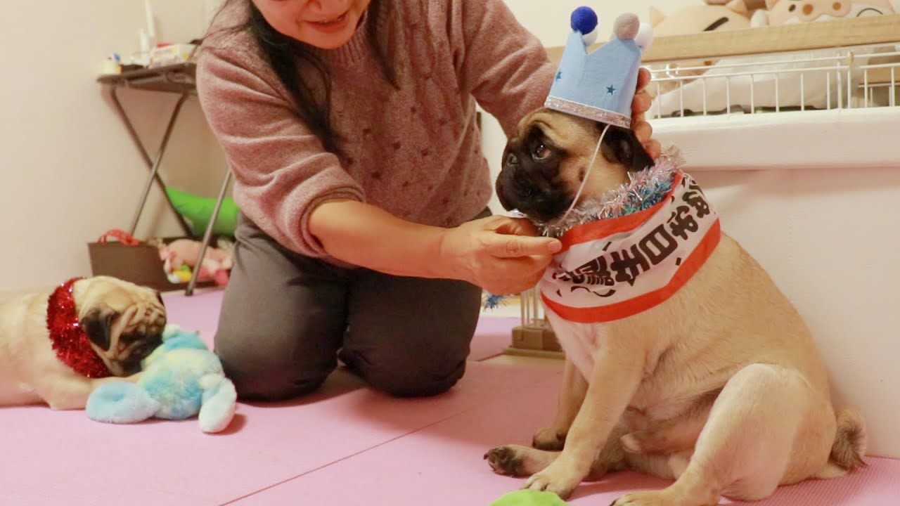 母が誕生日を祝いに来たけどめっちゃ迷惑そうなパスタ君