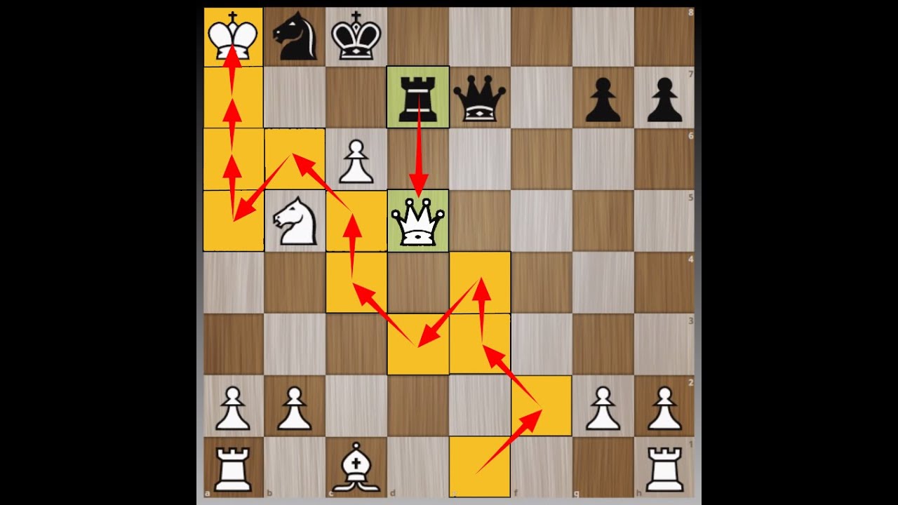 Immortal Kings' March to Opponent Camp | Queen Sac | Christophe Loo  vs  Hesseling 1983