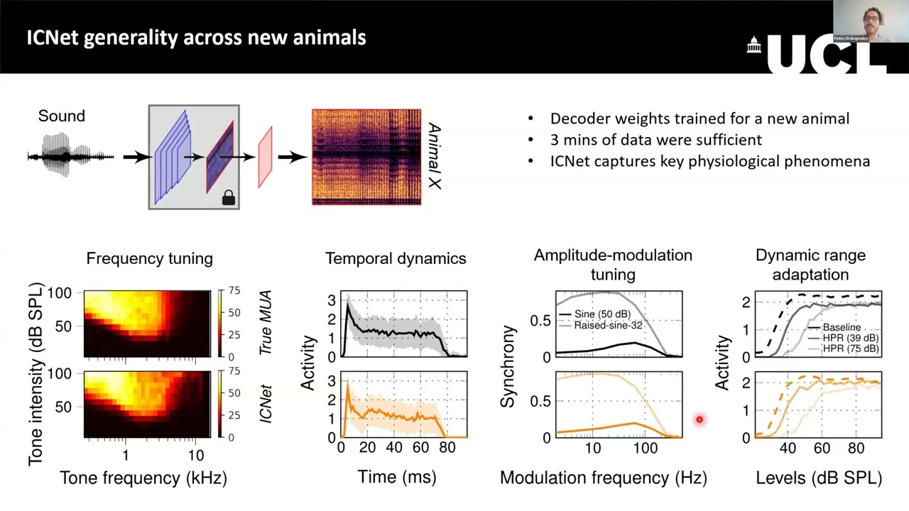 Featured talk 6: Modelling neural coding in the auditory brain through DL - Dr. Fotios Drakopoulos