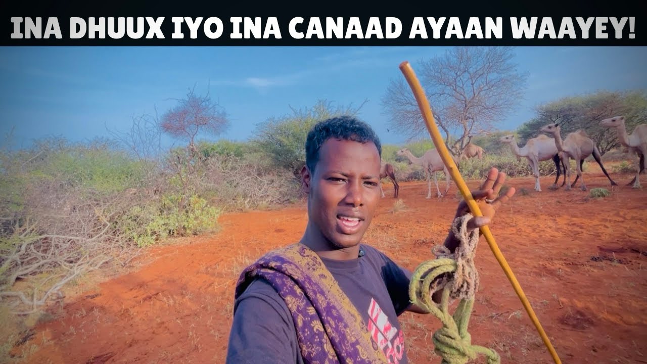 XALAY WAXAN SEEXDAY MEEL AAD U FOG || BAADI-DOONKII LABADA AWR.