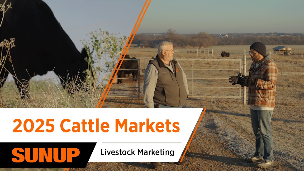 Dr. Derrell Peel Breaks Down the Wild 2025 Livestock Market — 2026 Outlook Revealed