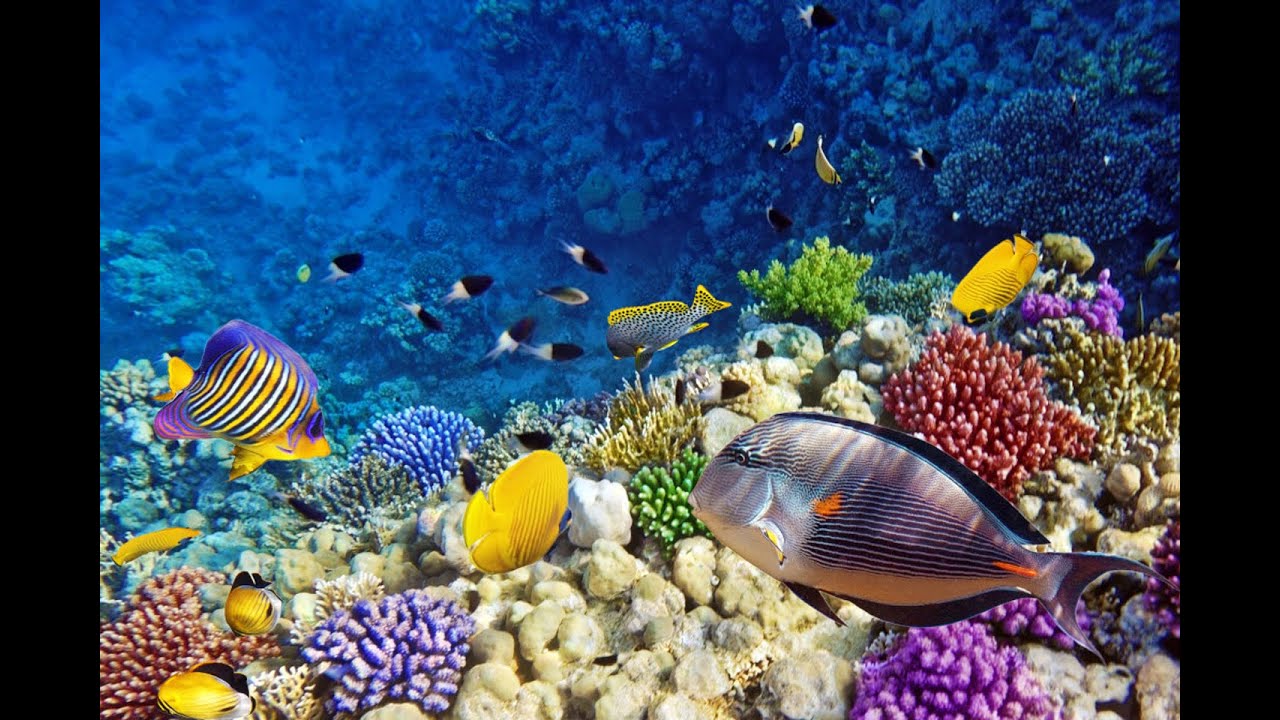 Top Tourist Attractions in Eilat: Travel Guide Israel