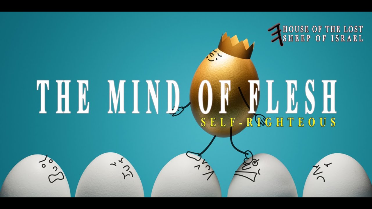 The Mind of Flesh (Self-Righteous)