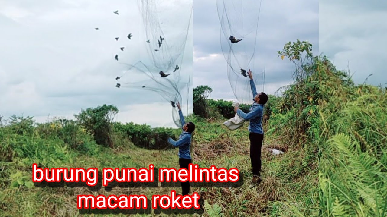 Rasa dag-dig-dug jantung