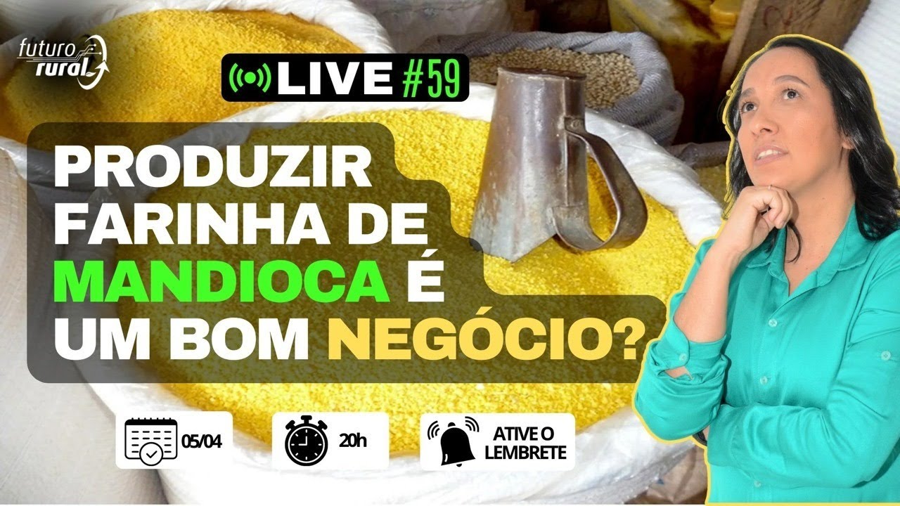 Produzir Farinha de Mandioca é um bom negócio? – Academia da Mandioca - #59