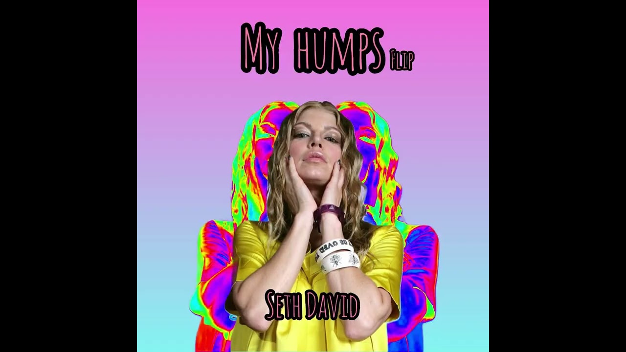 Seth David - My Humps (Flip)