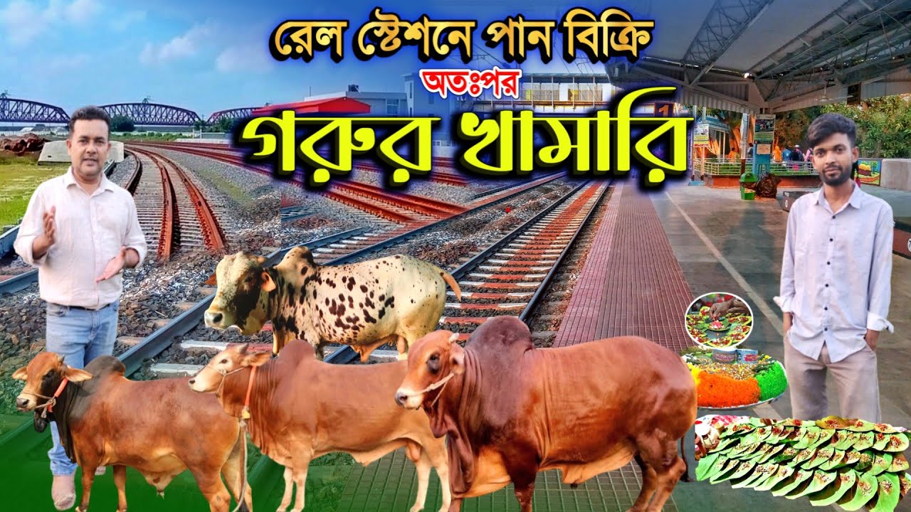রেল স্টেশন ও বাসস্ট্যান্ডে 'পান বিক্রি করে আজ বিশাল গরুর খামারের মালিক' Cow farm BD 