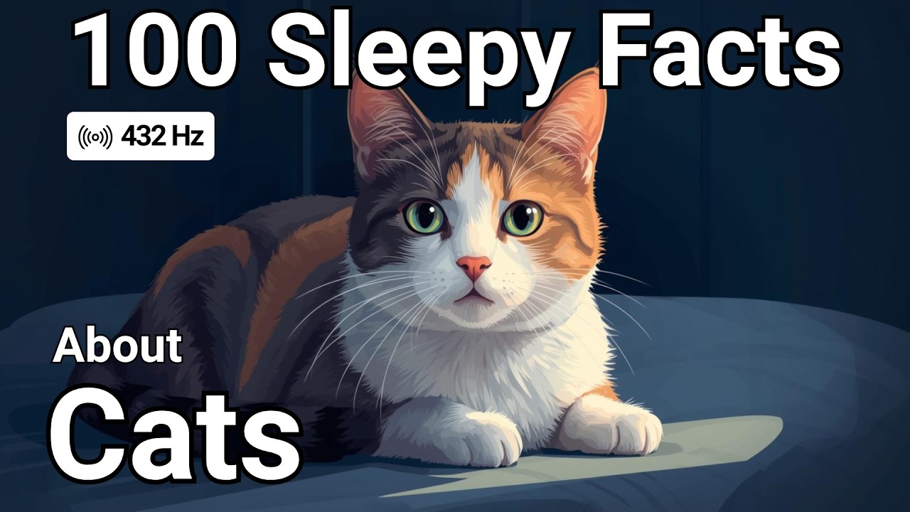 The Most Interesting Psychology Facts About Cats To Fall Asleep To—No Adverts