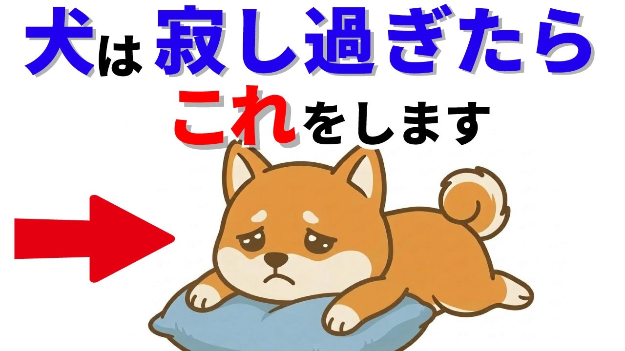 【絶対見て】寂しさが限界の時にだけする行動 14選
