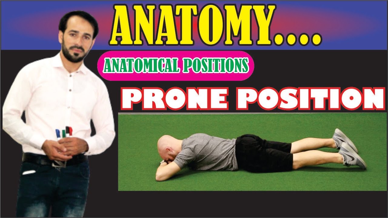 Prone Position | Anatomical Positions | Explained Practically | Learn Conceptually