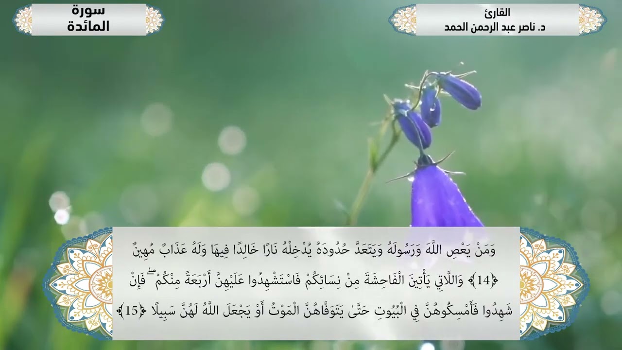 تلاوة مجوّدة لسورة النساء للقارئ الشيخ الدكتور ناصر عبدالرحمن الحمد