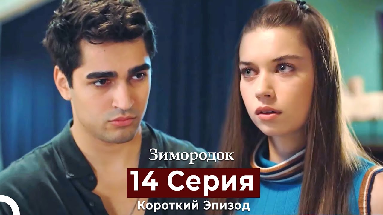 Зимородок 14 Cерия (Короткий Эпизод) (Русский дубляж)