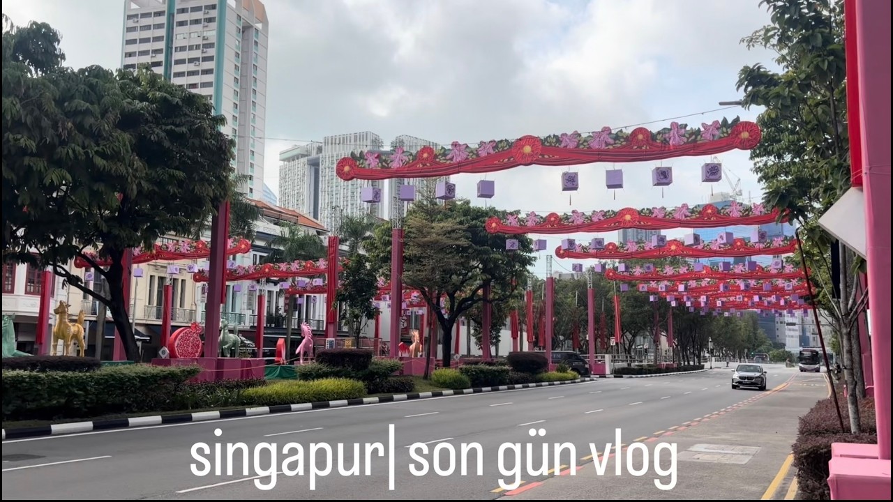 singapur vlog | IMM OUTLET AVM, CHİNATOWN VE GECE MACERASI