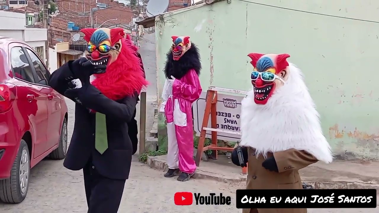 papangus de bezerros