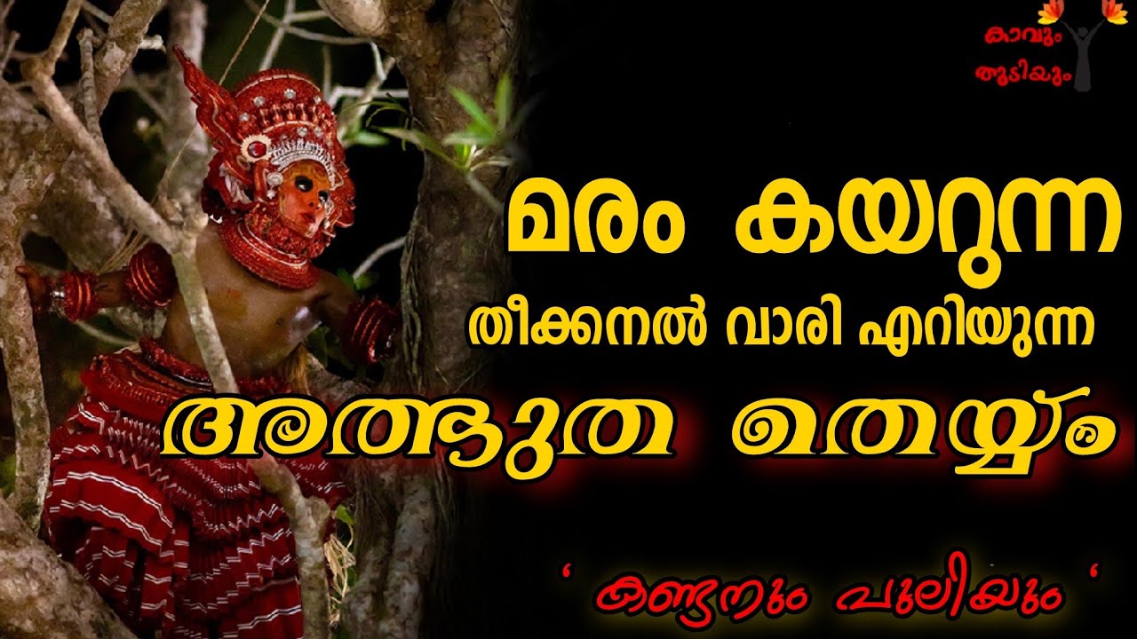 മരം കയറുന്ന ,ഒളിച്ചു കളിക്കുന്ന തെയ്യം ,  കണ്ടനും പുലിയും തെയ്യം