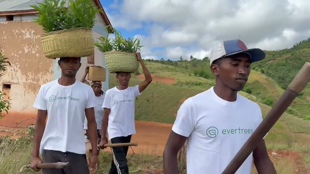 Ormado x Evertreen | Growing a Greener Future 🌱