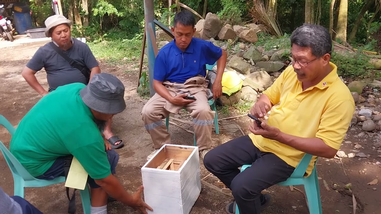 Beekeeping Beginners Common questions.(Part 1) #Apis Cerana #Stingless bess.