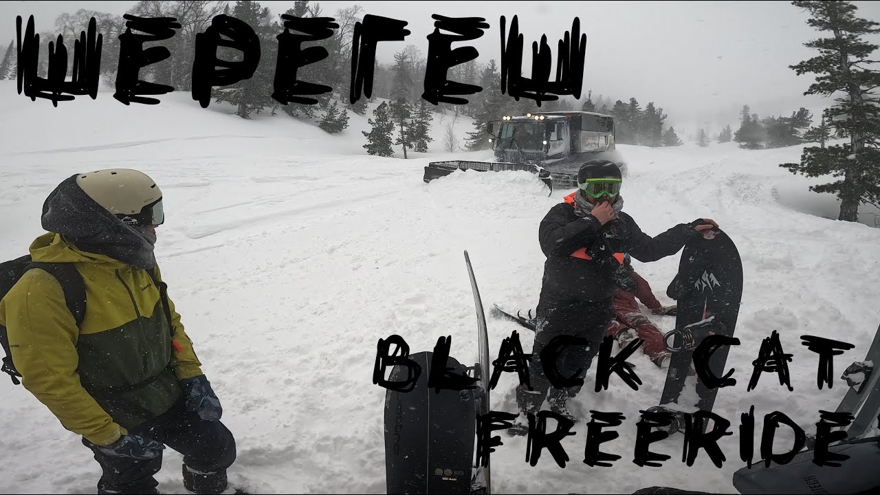 ШЕРЕГЕШ | BLACK CAT FREERIDE | РАТРАК | ЯНВАРЬ 2026