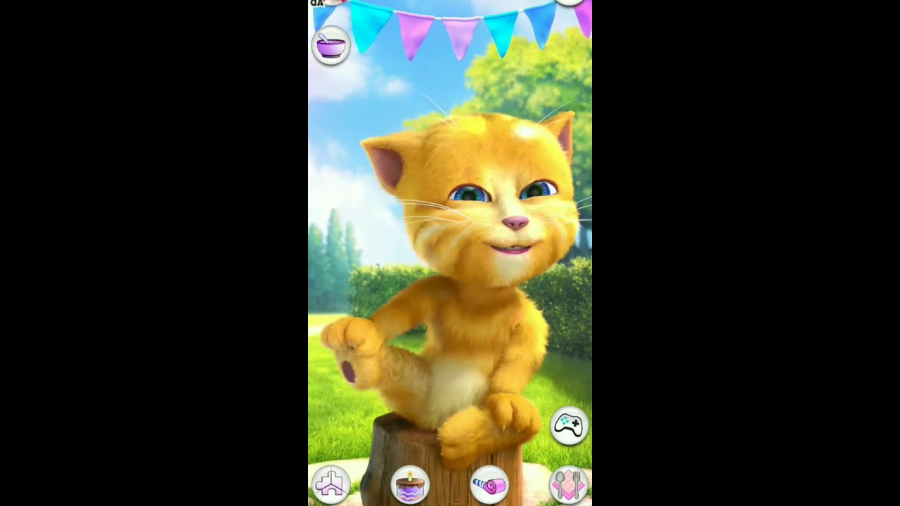 Talking Ginger Live streaming