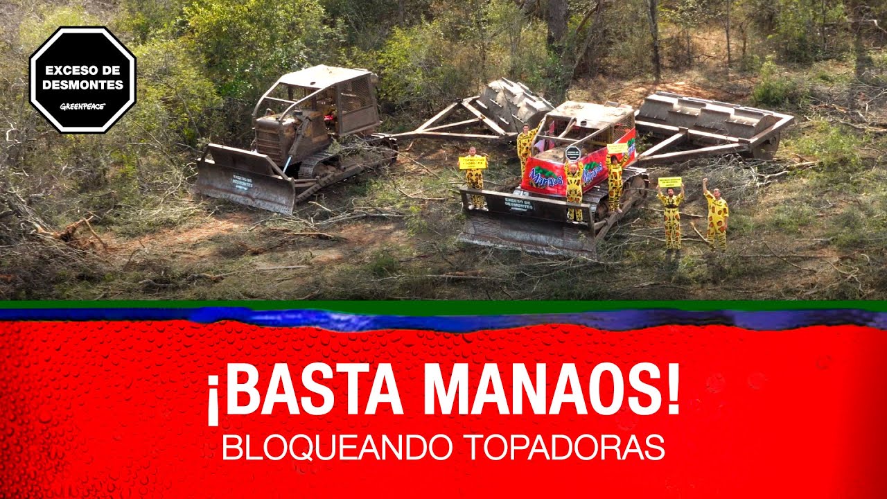 Bloqueamos topadoras en un enorme desmonte de los dueños de Manaos