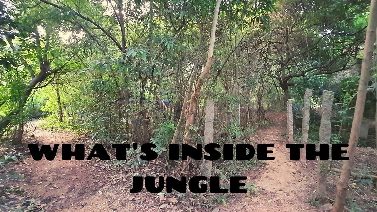 Sadhana Forest / Pondicherry @sadhanaforest