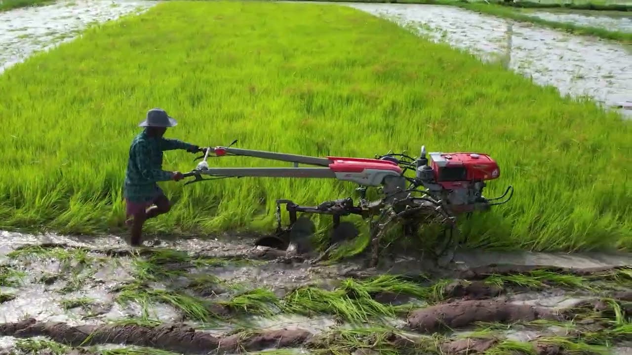 Amazing Machine Farmer tactor khmer,kubota rt 155 plus plow the field  