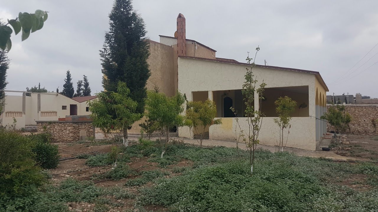 (تراجع عن البيع)عشاق البادية🌱3300 م محفظة فيها الدار🏡والبير والأشجار قريبة الكودرون بدكالة تمن مناسب