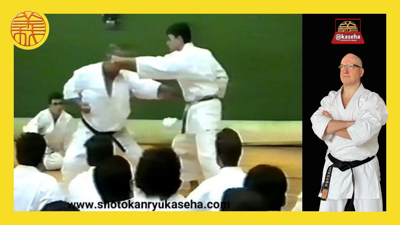 1993 Taiji Kase Heian Nidan Bunkai and much more