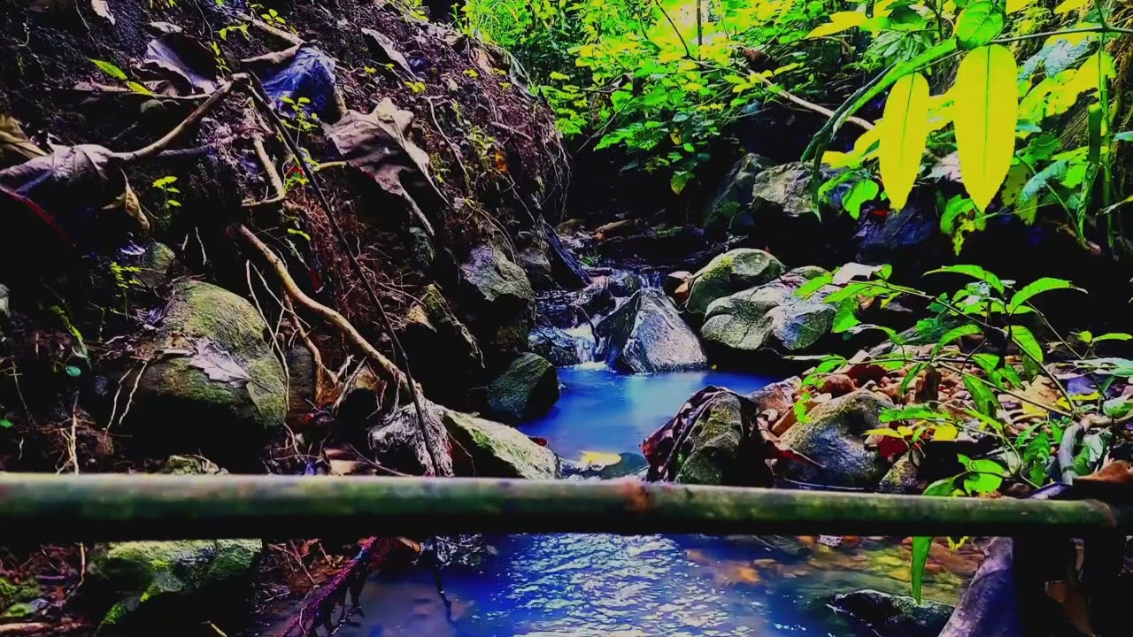 Peaceful River Sounds with Birds Singing | Nature ASMR for Deep Sleep & Relaxation