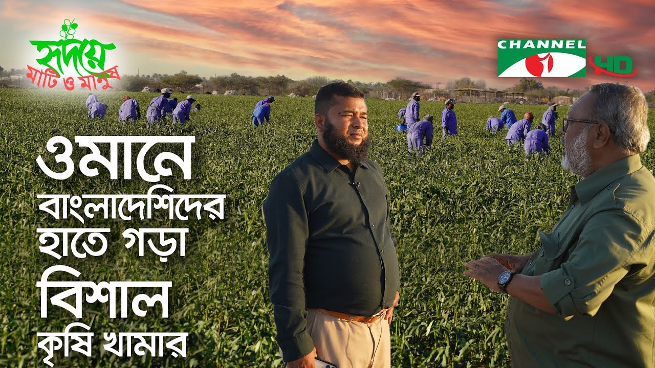 ওমানে বাংলাদেশি সহোদরের হাতে গড়ে উঠেছে বৃহত্তম কৃষি খামার |Oman | Shykh Seraj | Channel i |