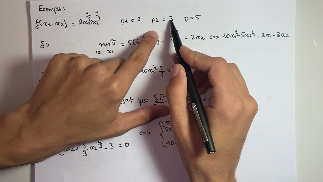 Le programme de maximisation du profit avec deux inputs - microéconomie S2