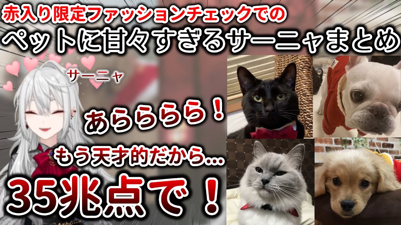 ファッションチェックでの、ペットに甘々すぎるサーニャまとめ　[葛葉/にじさんじ/切り抜き]
