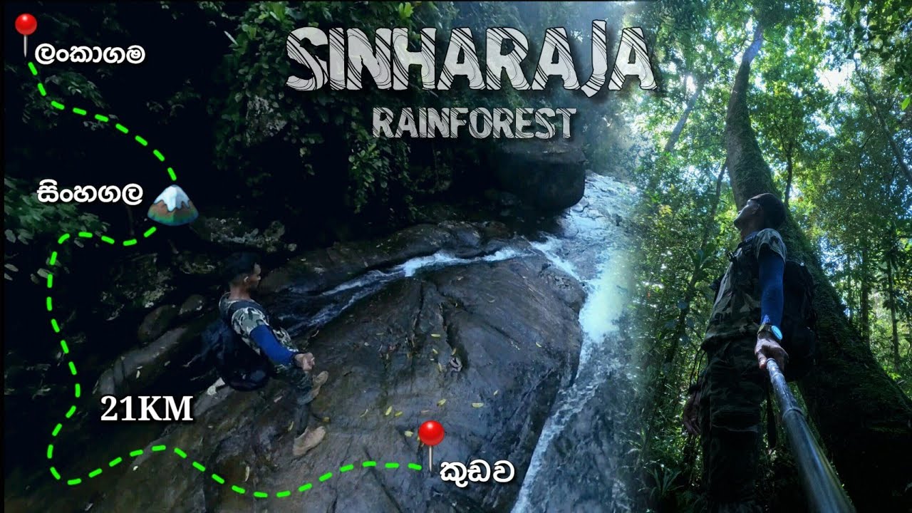 සිංහරාජය මැදින් ලංකාගම සිට කුඩවට 21km | Sinharaja Rainforest | Lankagama to Kudawa | Sinhagala
