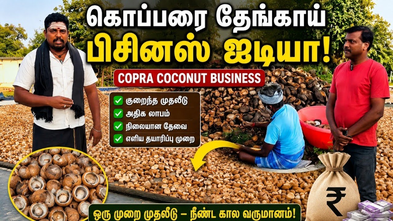 கொப்பரை தேங்காய் Business | kopra coconut business