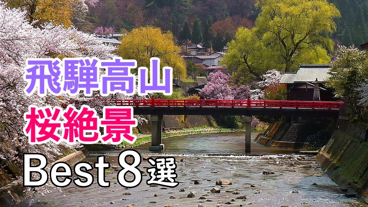 飛騨高山の桜絶景ベスト8選！ / 中橋・江名子川・飛騨東照宮・城山公園・臥龍桜など / Top 8 Best cherry blossom spots in Hida Takayama, Japan