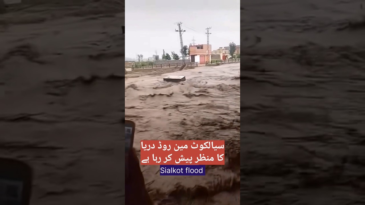 Sialkot bazaar turns into river after heavy flood #pakistanflood