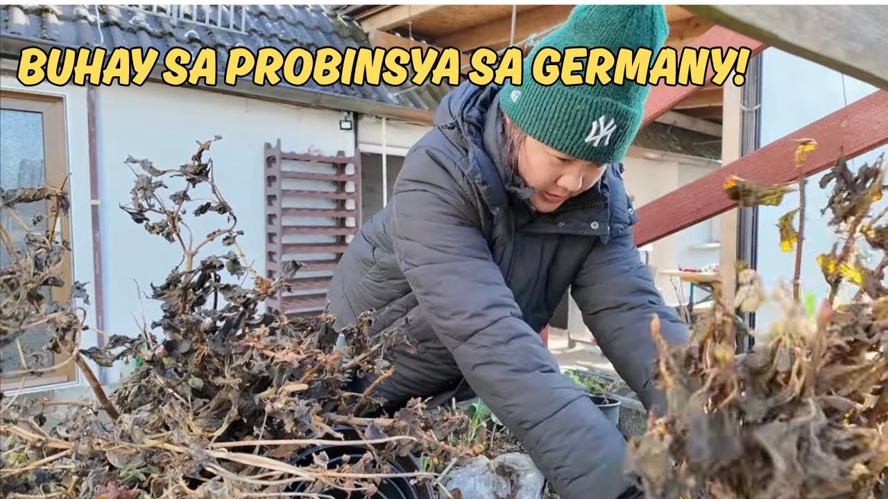 Winter Days in the Province of Germany | Building the Meadery and Flower bed Cleaning.