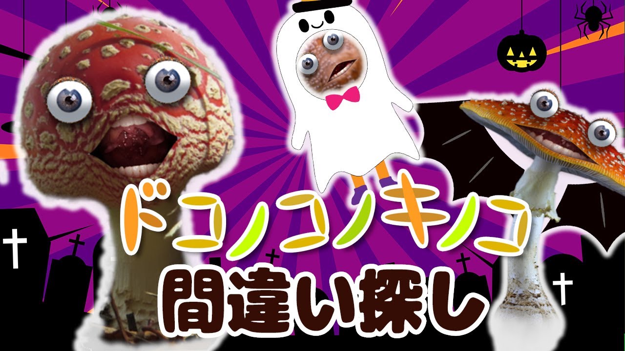 キノコが踊る!ドコノコキノコとハロウィンで間違い探し！その他60分メドレー！【いないいないばあ・おかあさんといっしょ・子供の歌・赤ちゃん喜ぶ】