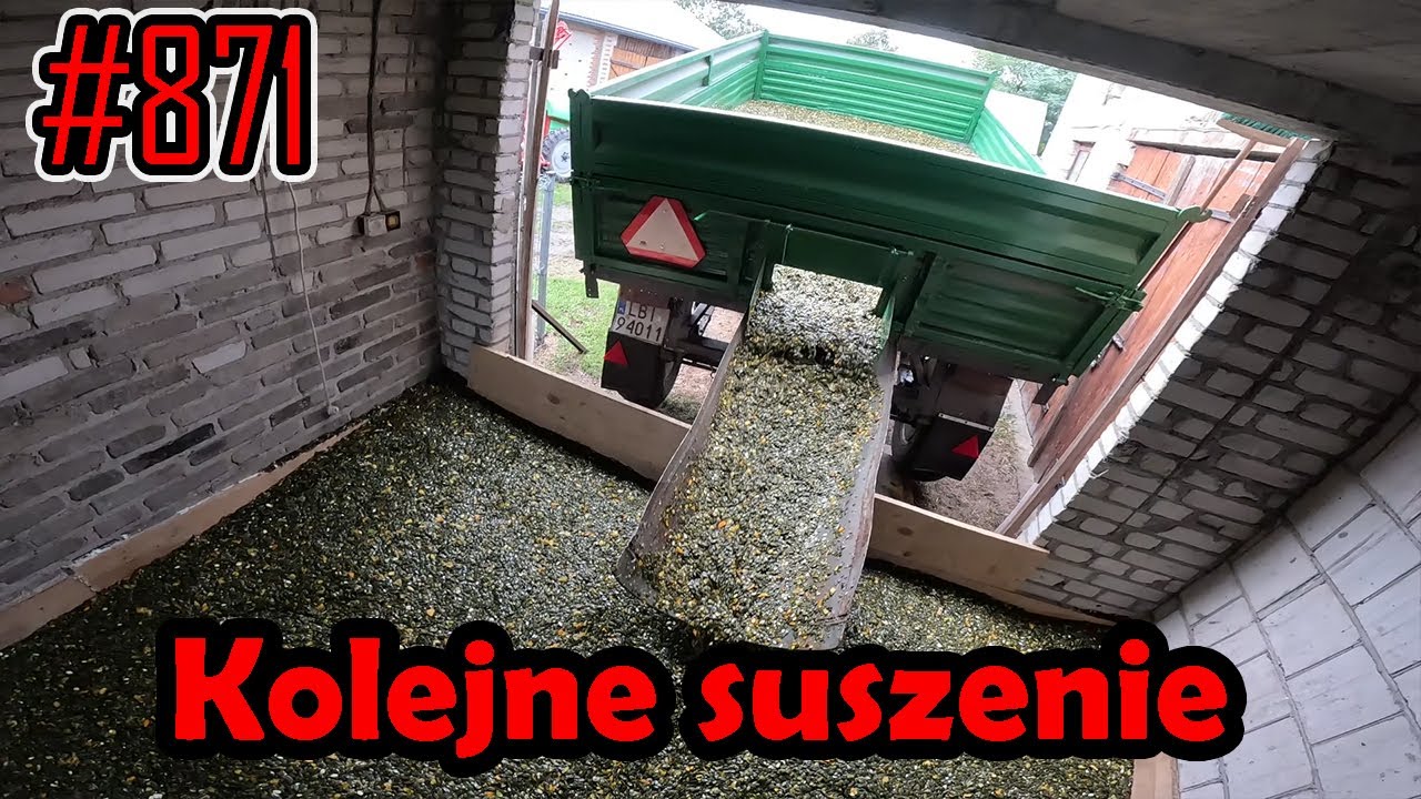 Coraz dłuższe suszenia pestek dyni, potrzeba przeróbek na kolejny sezon #871