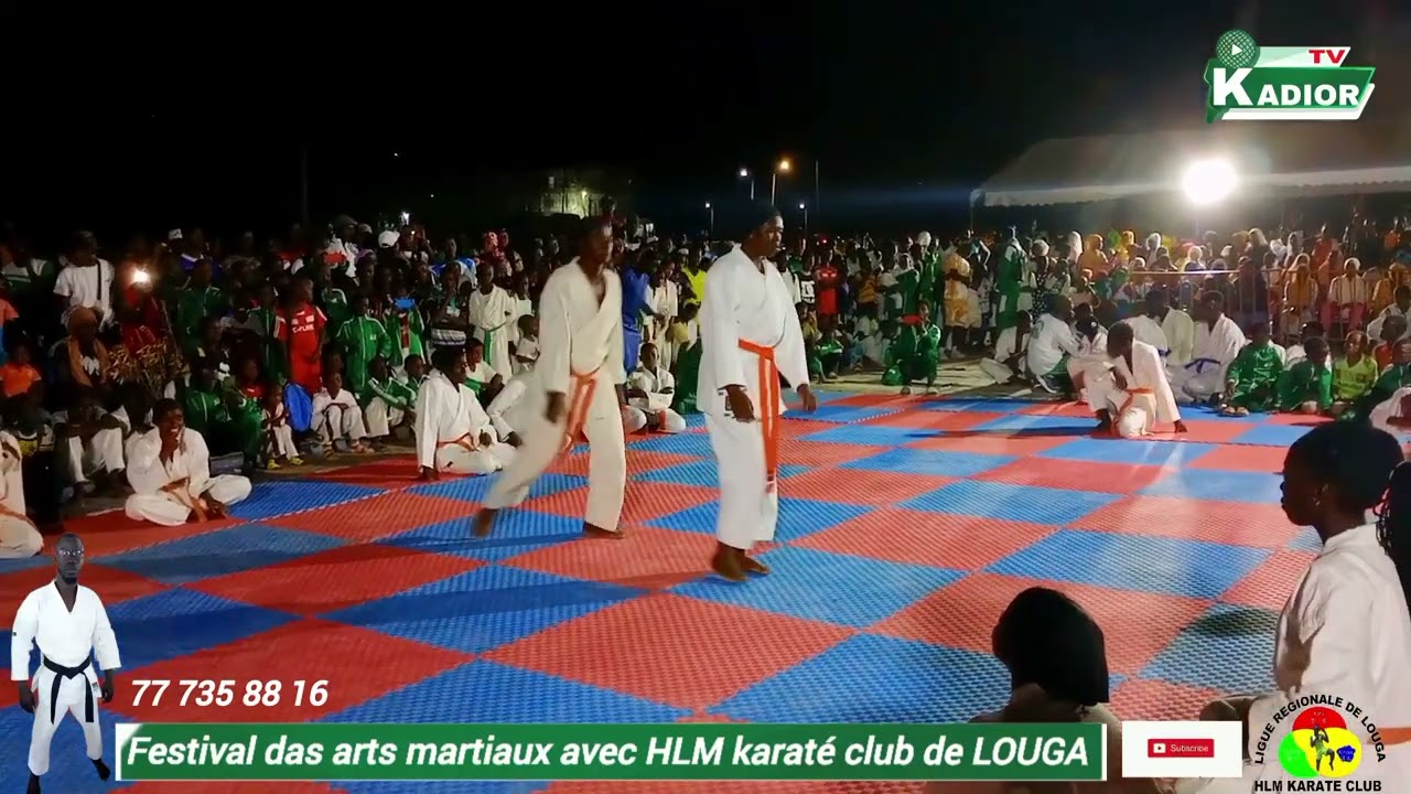 festival das arts martiaux avec HLM karaté club