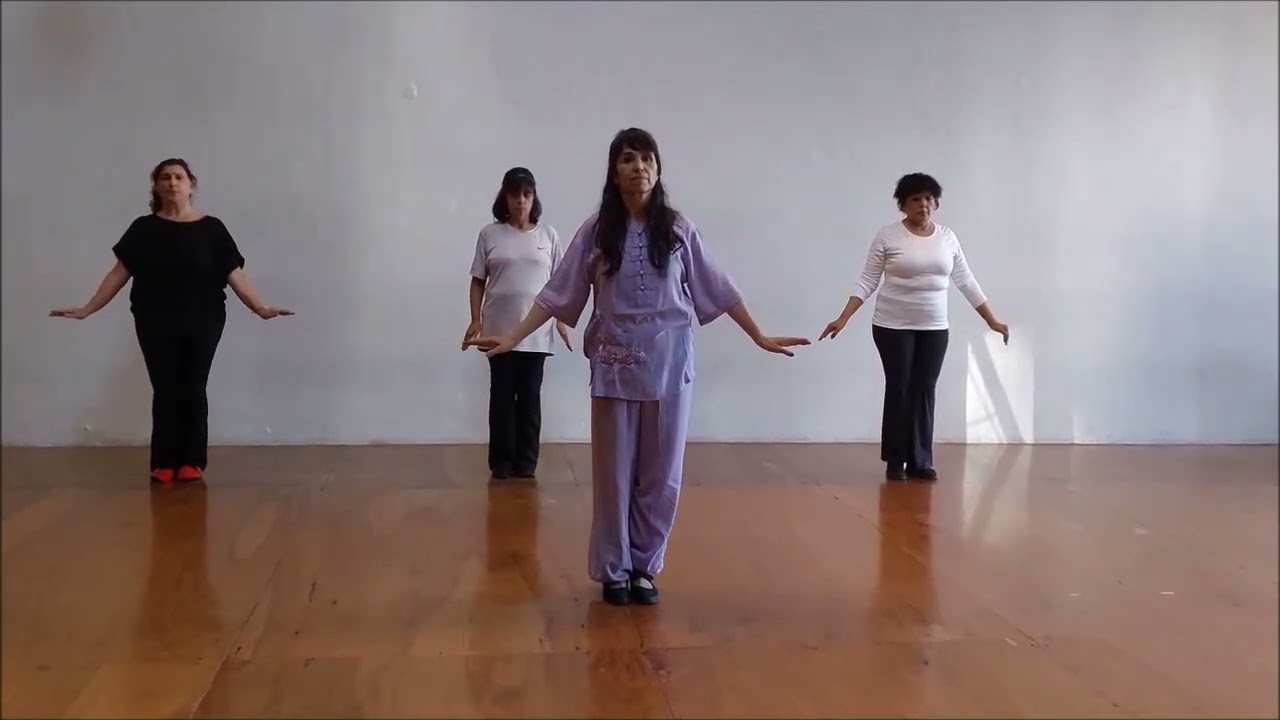2026 01 30 Argentina  Daoyin: 导引导引  健康健康Daoyin Daoyin santé santé ! Daoyin DaoyinHealth Health