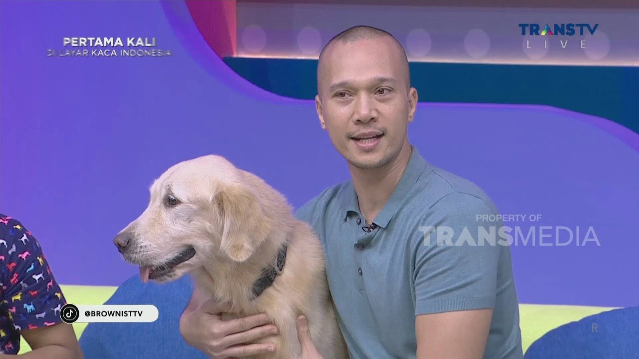 Dari Pelihara 2, Kini BIMA ARYO Pelihara Belasan Anjing Dirumahnya #BestMoment #Brownis
