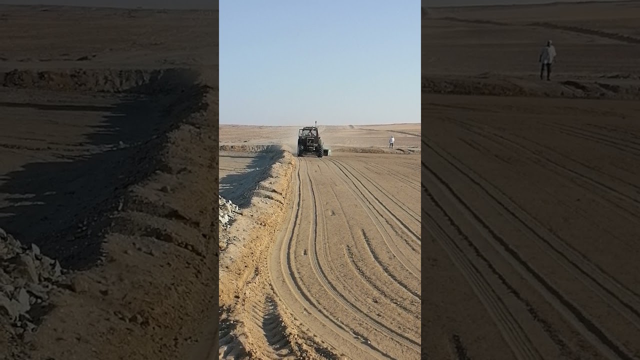 تجهيز الأرض للبرسيم الحجازي (ومعرفة الأسعار) في الفرافرة
