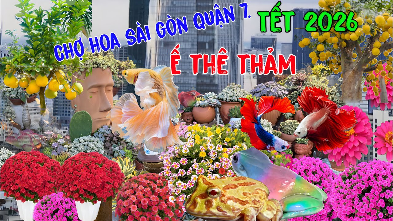 Ám ảnh Chợ hoa sài gòn quận 7 ế thê thảm những ngày đầu năm tết 2026.nhiều hoa kiển độc lạ.