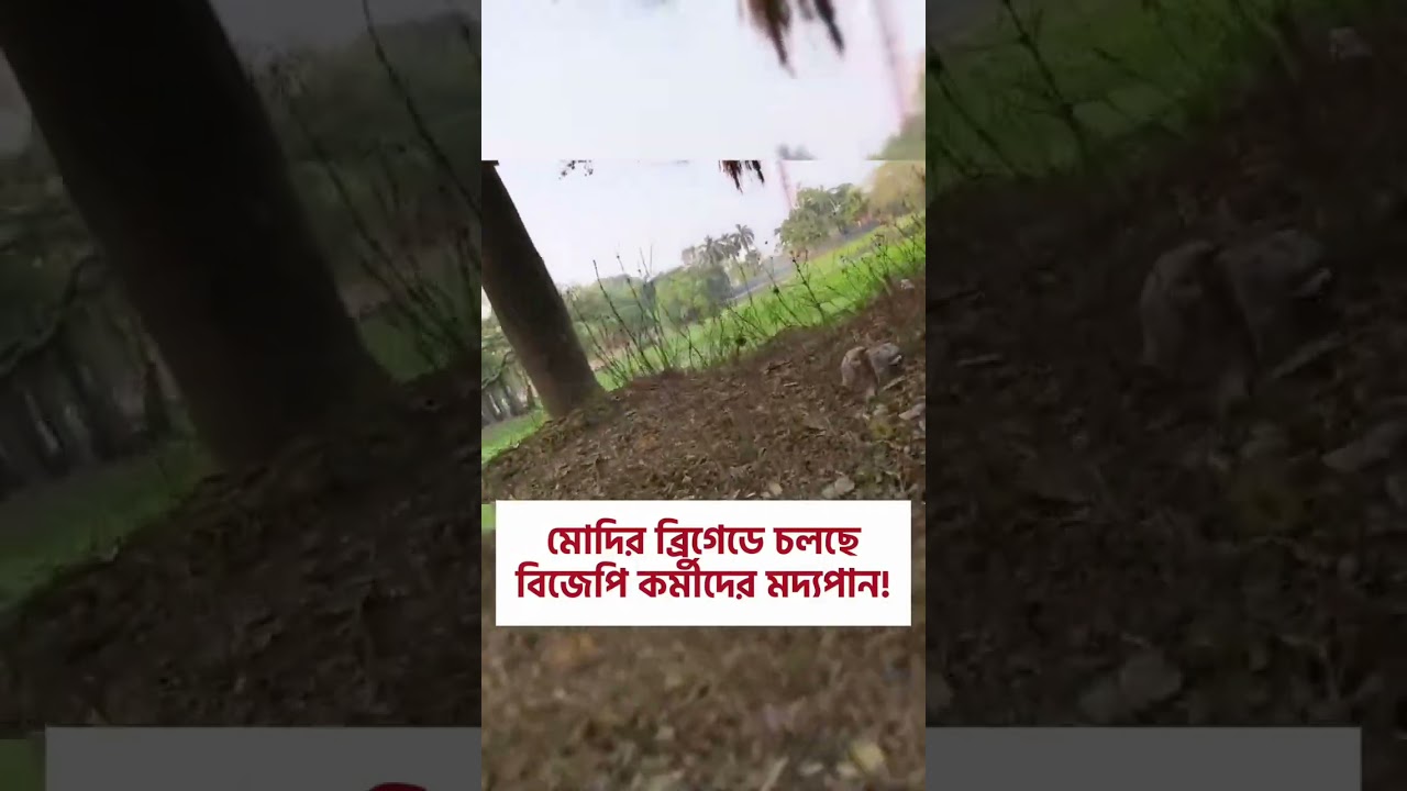 BJP ke yodha🤣 #modirally #kolkata #brigade #ytshorts #bjp #westbengal #trendingshorts #party