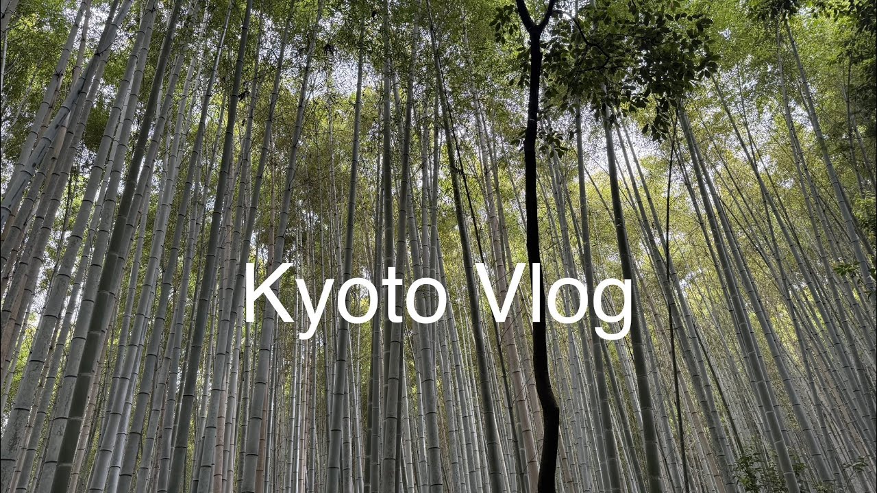 Kyoto Vlog | Ep. 2 Arashiyama 🏞️👘🍢 % ARABICA Coffee ☕️ 嵐山