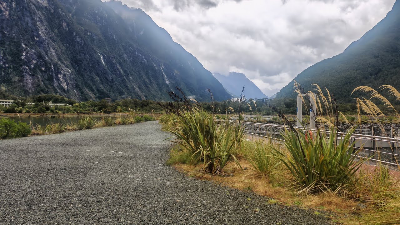 Milford Sound forshore walk